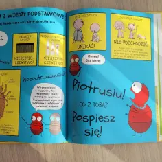 Czy dziecko z wszami może chodzić do przedszkola? Zasady i porady dla rodziców